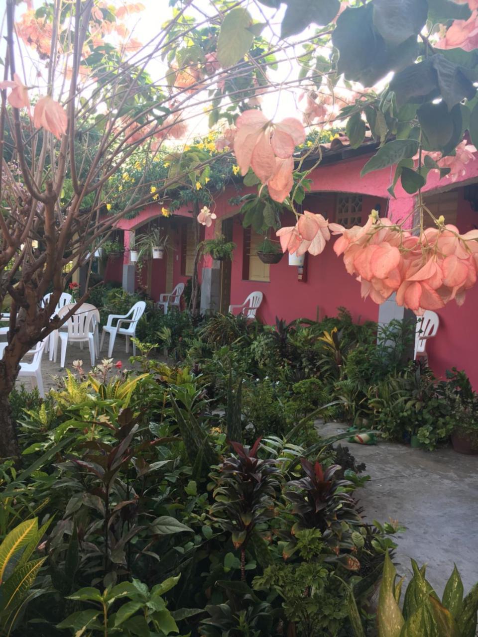 Algodoal Bela Mar Pousada Exterior photo